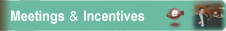 Mettings & Incentives